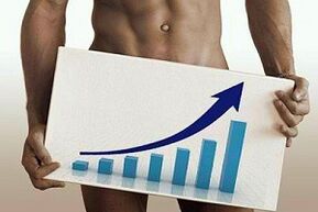 Increase in penis size