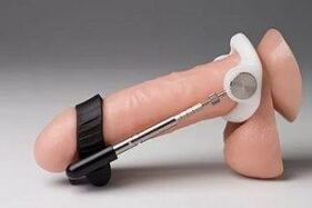 The extender mechanically stretches the penis, increasing its size.